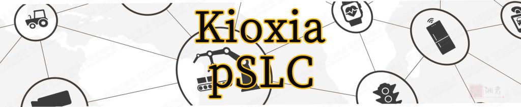 Kioxia pSLC Technical Brief