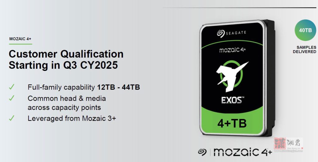 希捷 Mozaic 4+
