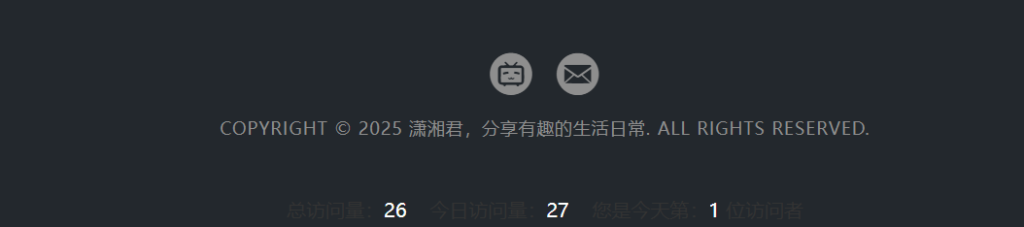 统计代码展示效果 2
